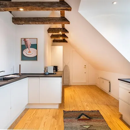 Apartment Town Hall Penthouse By Daniel&jacob's